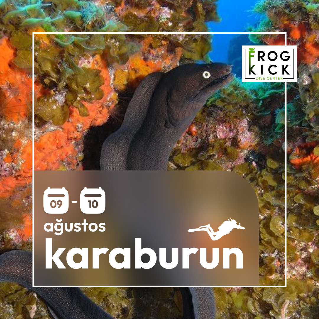 Karaburun Dalış Turu