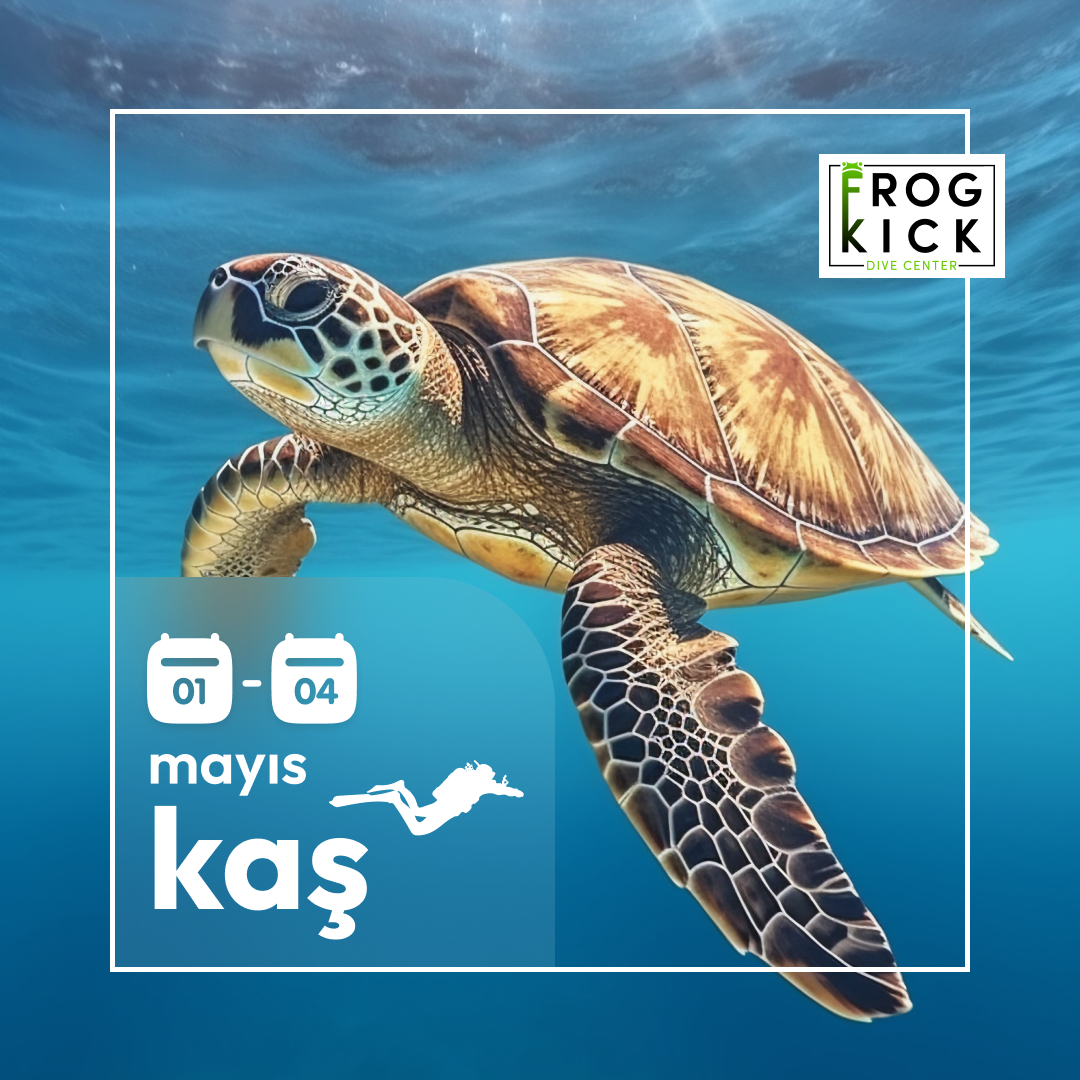 KAŞ 2025